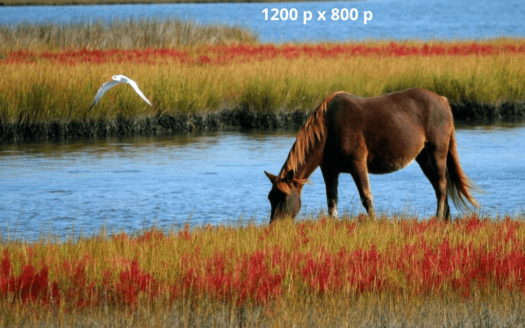 Voorbeeldblog 2 : Hier komt je titel.