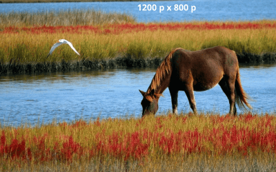 Voorbeeldblog 2 : Hier komt je titel.