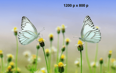 Voorbeeldblog 3: Hier komt je titel.